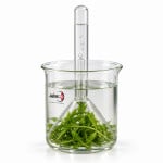 Kit for Demonstration of Aquatic Plant Respiration